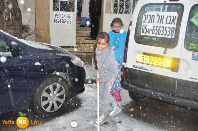 iceman lud 1213 (23).JPG